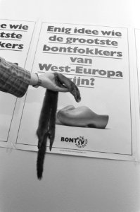 Presentatie Bont voor Dieren nerts voor affiche, Bestanddeelnr 934-3495