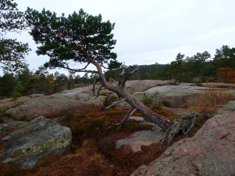 Skuleskogen national park sweden hike