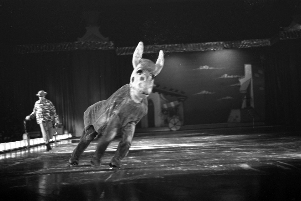 Premiere Weense IJsrevue in RAI, onder de titel Kapriole het ijsballet op de vlo, Bestanddeelnr 914-4671