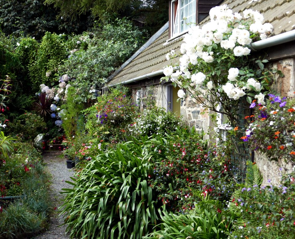 Jersey sark house