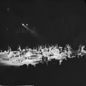 Premiere Weense IJsrevue in Apollohal, Bestanddeelnr 915-6186