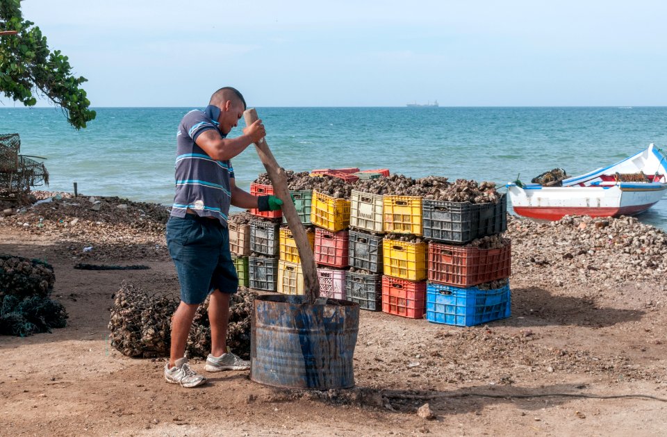 Preparando pata e cabra 2