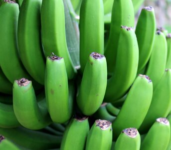 Fruit fruits vitamins