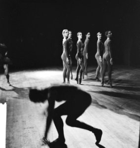 Premiere van Nationaal Ballet in Stadschouwburg Dansscenes Ballet Jungle' van, Bestanddeelnr 913-3182