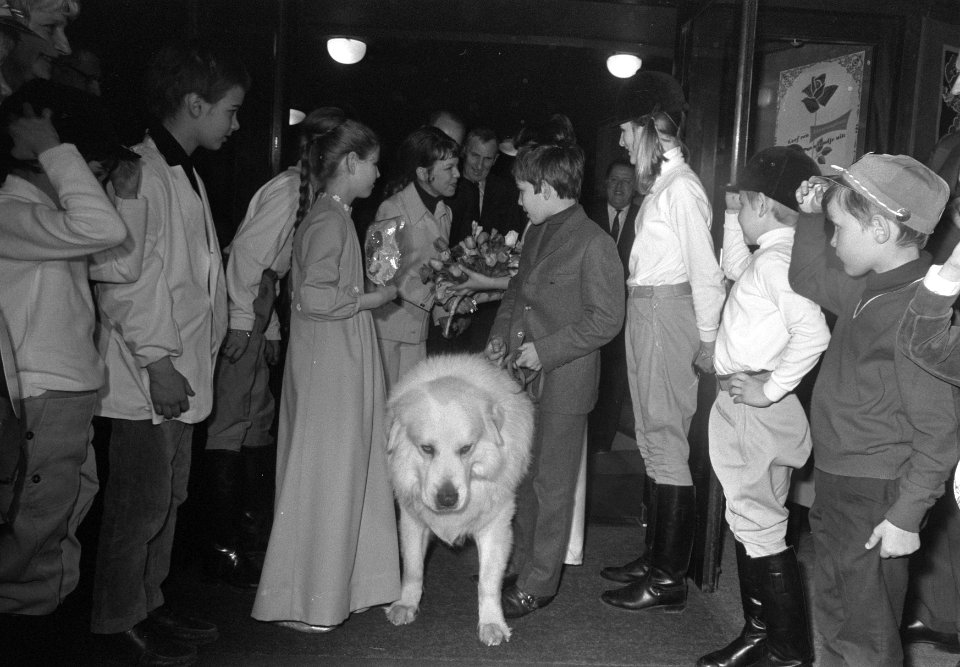 Premiere van de film Sebastiaan vindt een vader in Flora theater te Adam. Ceci, Bestanddeelnr 922-2588