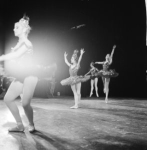 Premiere van Nationaal Ballet in Stadsschouwburg Dansscenes uit het werk 'Pas d, Bestanddeelnr 913-3172