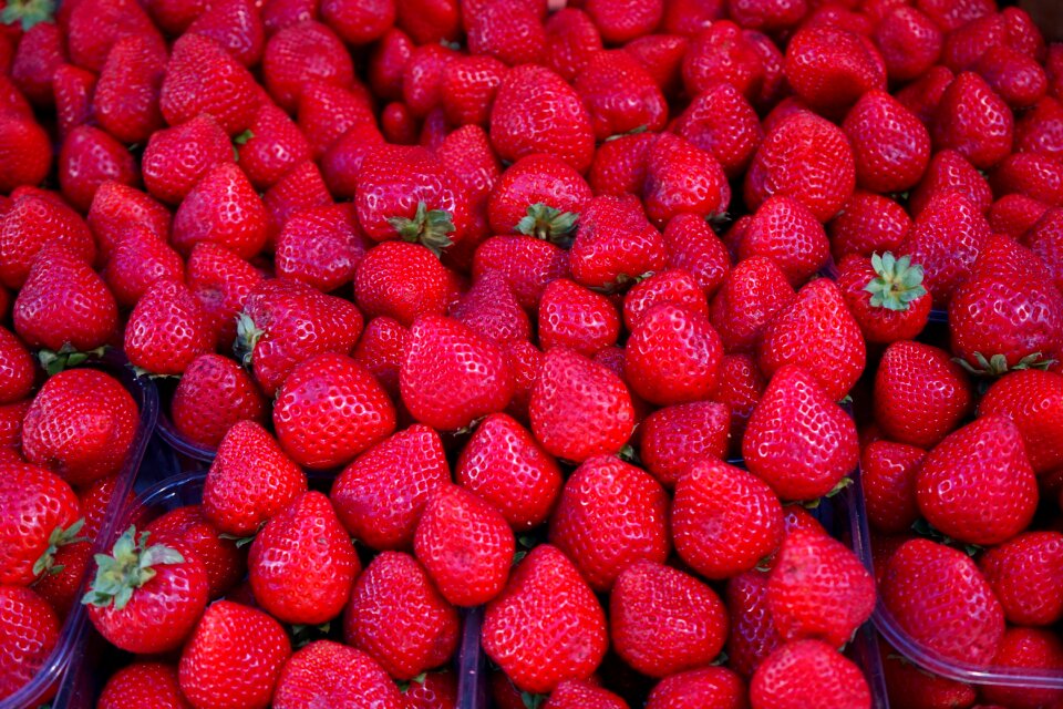 Healthy fresh berry