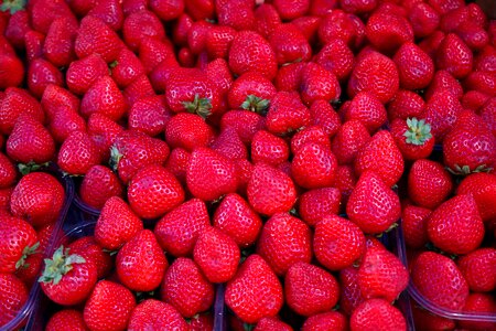 Healthy fresh berry photo