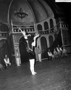 Premiere van Het Zwanenmeer door Nationaal Ballet te Apeldoorn, scenes uit He, Bestanddeelnr 917-5158