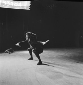 Premiere van Nationaal Ballet in Stadschouwburg Dansscenes Ballet Jungle' van, Bestanddeelnr 913-3184