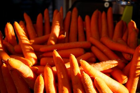 Food diet organic