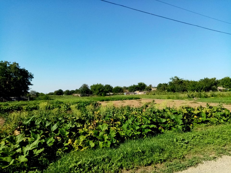 PravdaCr 8