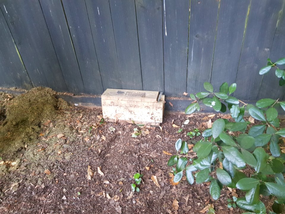 Predator Free New Zealand rat trap and tunnel
