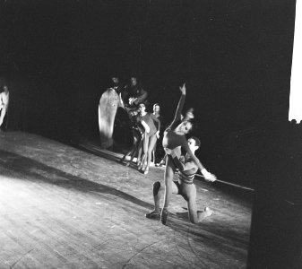 Premiere van Nationaal Ballet in Stadschouwburg Dansscenes Ballet 'Jungle' van, Bestanddeelnr 913-3178