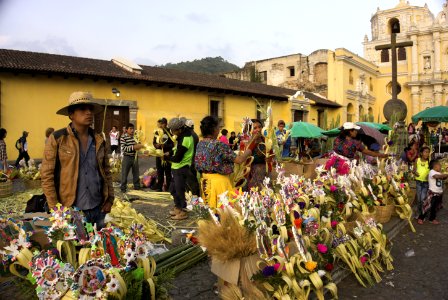 Preparativos para el Domingo de Ramos en Antigua