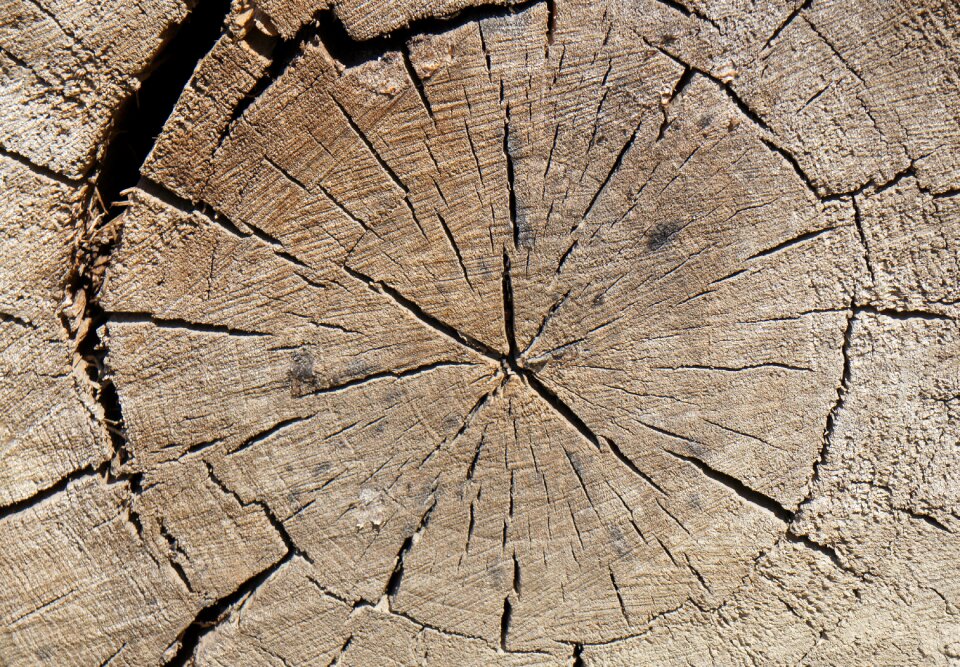 Rings cut off nature