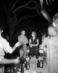 Receptie in een tuin op een avond. Militair en vrouw in gesprek, Bestanddeelnr 11326