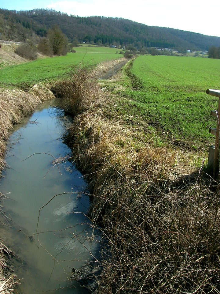 Rebdorf Steghäuser -Entwässerungsgraben (1)