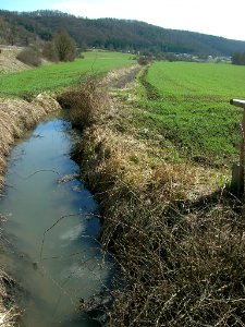 Rebdorf Steghäuser -Entwässerungsgraben (1)