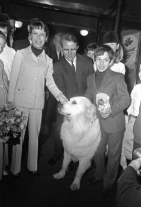 Premiere van de film Sebastiaan vindt een vader in het Flora theater te Amster, Bestanddeelnr 922-2586