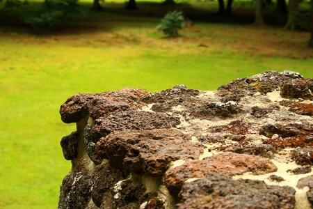 Clumping stone lawn eisenstein ludwigslust-parchim photo