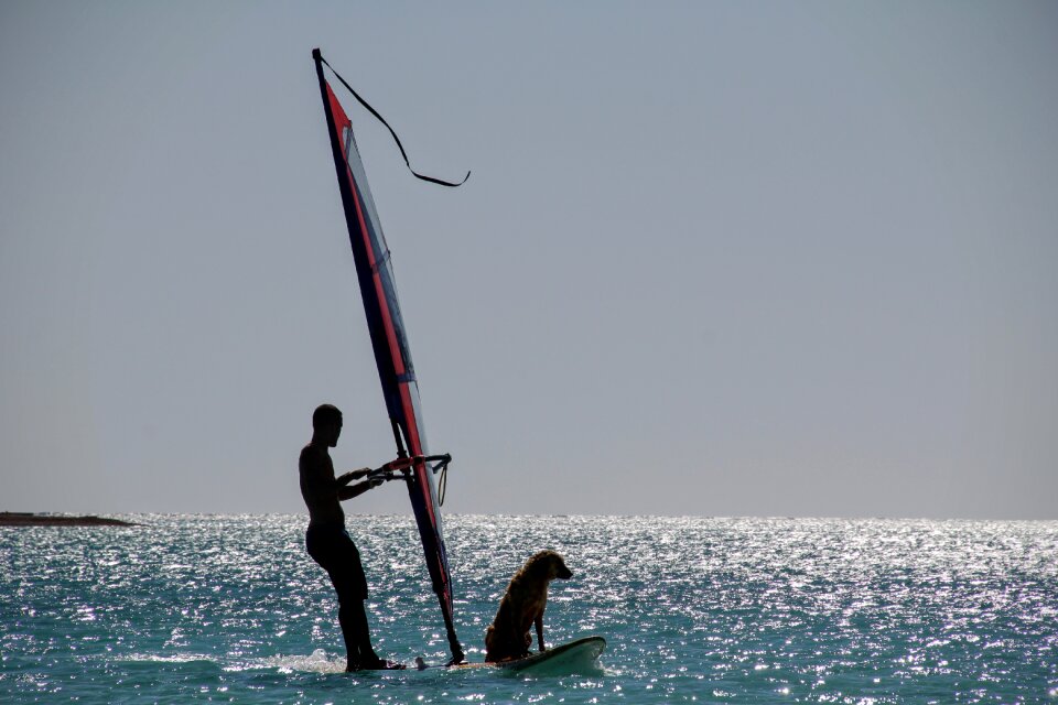 Surfboard man dog