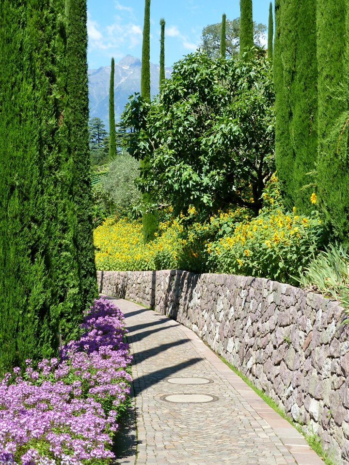 Park lebensbaum bushes path