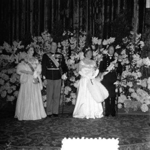 Receptie Ridderzaal, Bestanddeelnr 906-4261