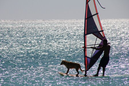 Dog vacations recreational sports