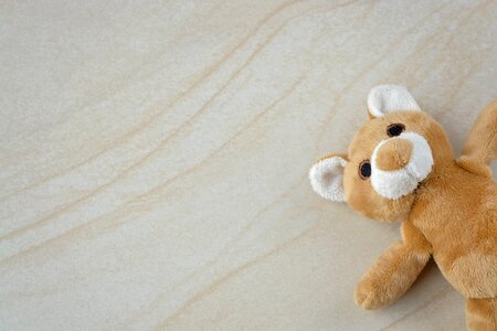 Stuffed bear furry teddy bear small