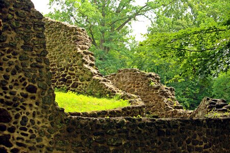 Rasenerz clumping stone lawn eisenstein photo