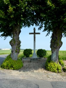 Rebecques (Pas-de-Calais, Fr) croix de chemin entre2 arbres