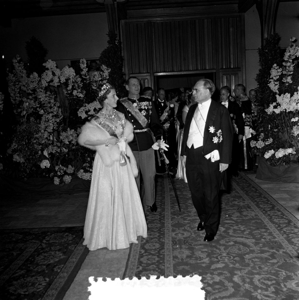 Receptie Ridderzaal, Bestanddeelnr 906-4264