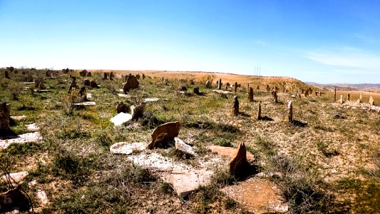 Rebaia - Cimetière de Sidi M'hamed الربعية - مقبرة سيدي امحمد 8