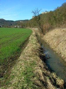 Rebdorf Steghäuser -Entwässerungsgraben (3)