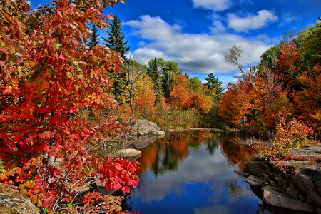 New brunswick nature landscape