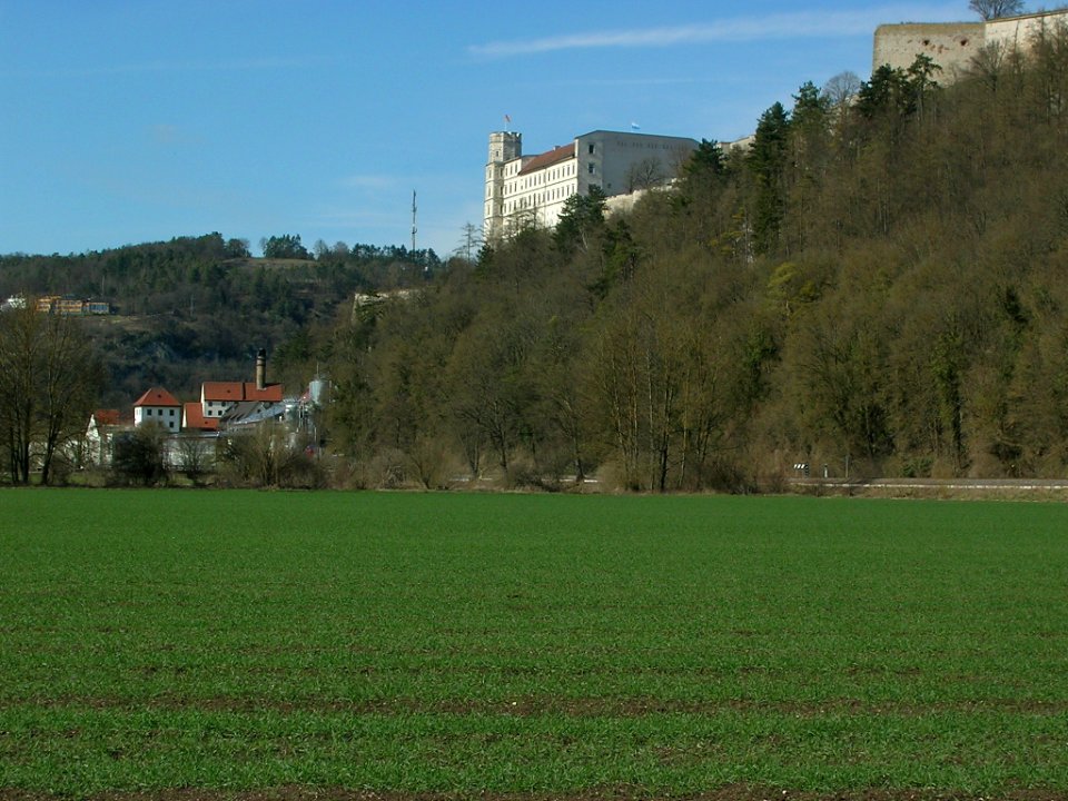 Rebdorf -Blick auf Hofmühl, Willibaldsburg (2)