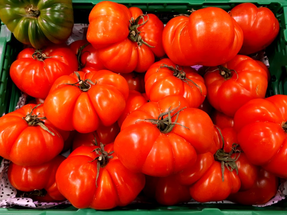 Rebellion tomatoes 2017 B