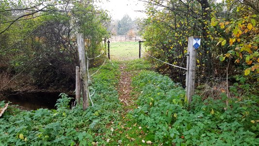 Recht-Schafsbrücke (1)
