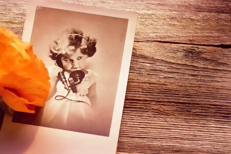 Wood flower orange