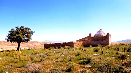 Rebaia - Cimetière de Sidi M'hamed الربعية - مقبرة سيدي امحمد 7