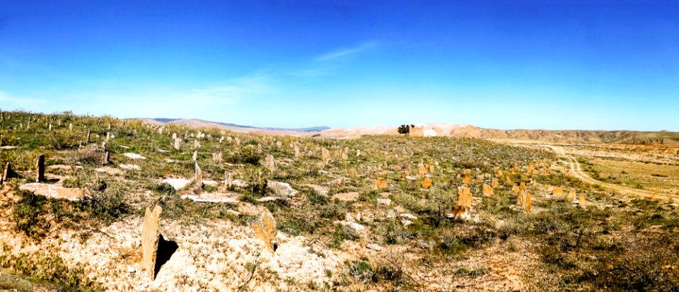 Rebaia - Cimetière de Sidi M'hamed الربعية - مقبرة سيدي امحمد 2