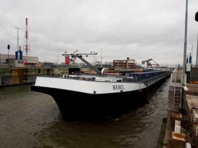 Rebel (ship, 2009) ENI 06105090 Van Cauwelaersluis Port of Antwerp