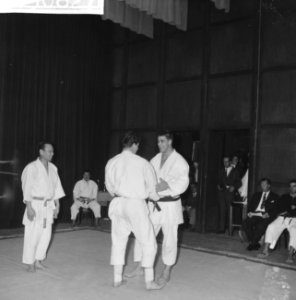 Rechts Anton Geesink, Bestanddeelnr 913-0827