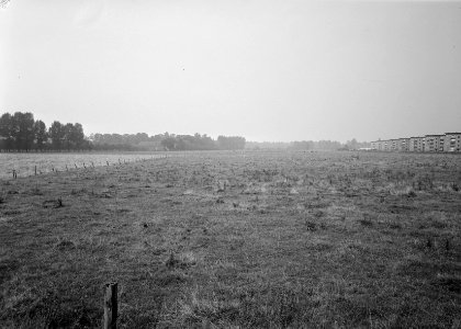 Recreatieterreinen, vliegvelden ed, terreinen, bomen, rijtstichting van der mg, Bestanddeelnr 163-0503
