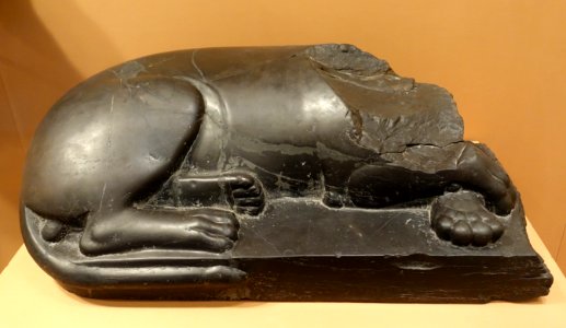 Reclining Feline, Iran, Persepolis, south of Terrace, Achaemenid Period, reign of Xerxes, 486-465 BC, limestone - Oriental Institute Museum, University of Chicago - DSC07993