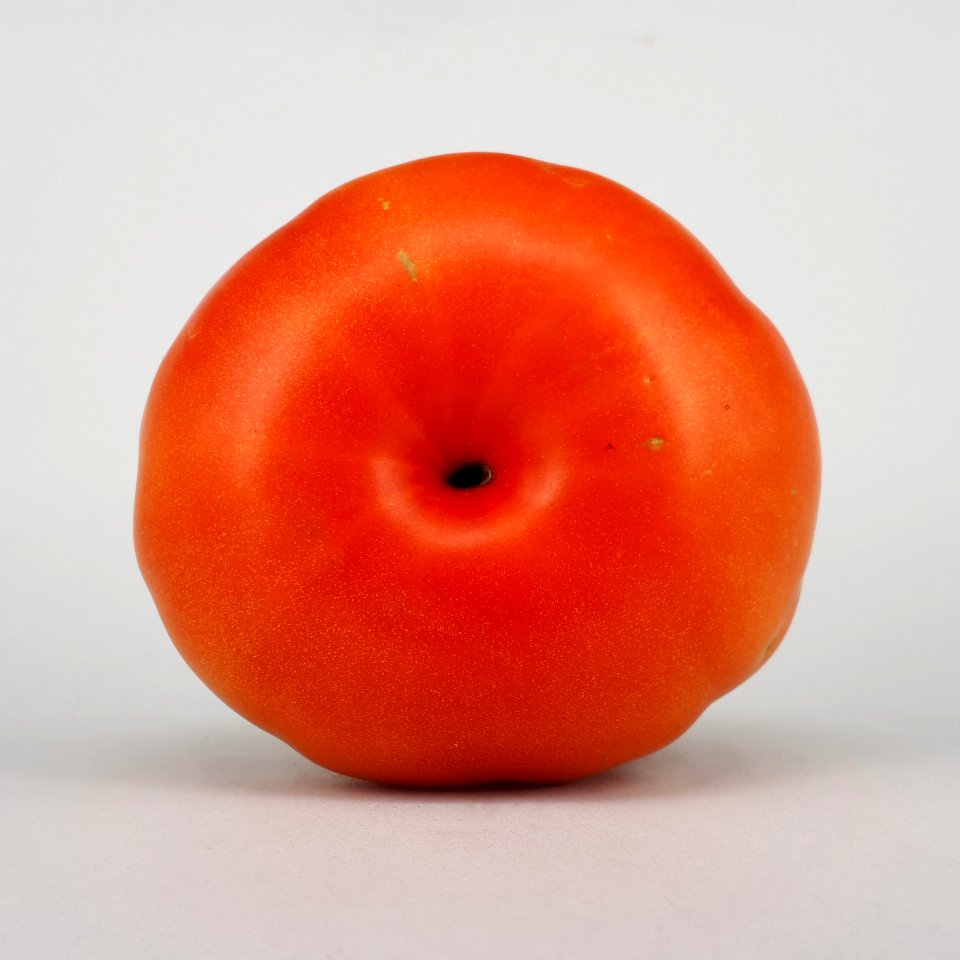 Rebellion tomato 2017 A4