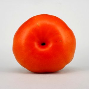 Rebellion tomato 2017 A4
