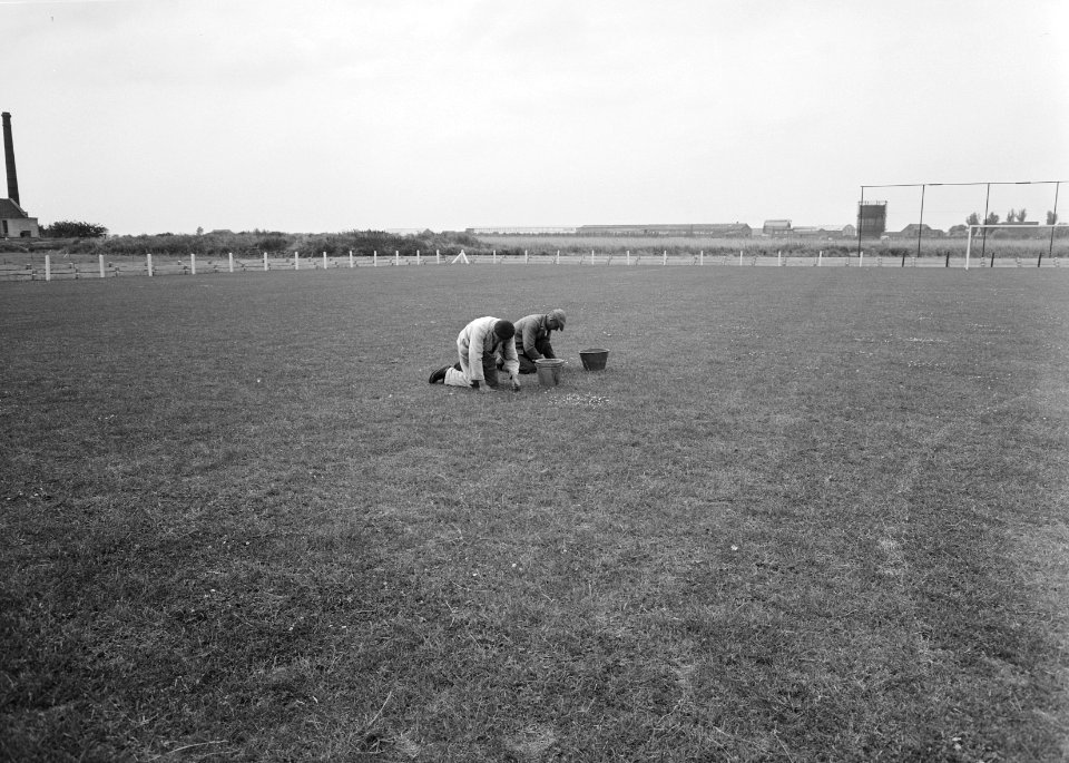 Recreatieterreinen, vliegvelden ed, sportparken, mannen, onkruid wieden, Bestanddeelnr 163-0592
