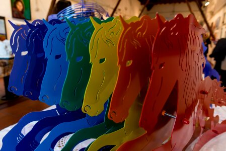 Colors animal foal
